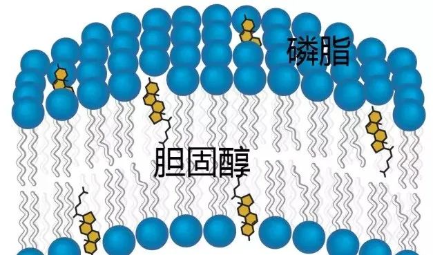 1675407401730005.jpg 2.jpg