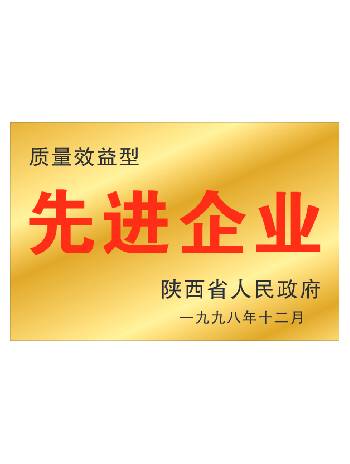 質(zhì)量先進企業(yè)